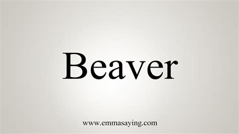 beaver urban dictionary